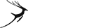 官方授权的手机号自动轰炸